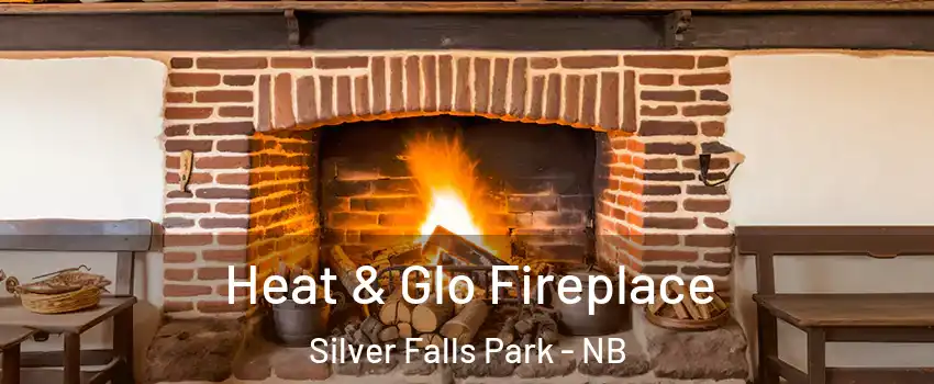  Heat & Glo Fireplace Silver Falls Park - NB