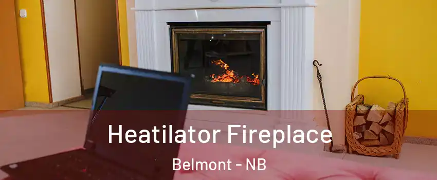  Heatilator Fireplace Belmont - NB