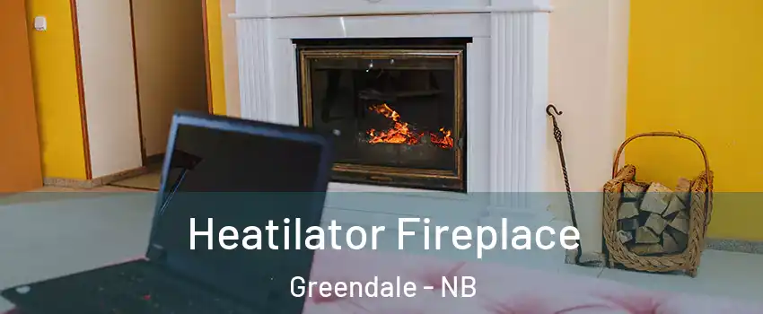  Heatilator Fireplace Greendale - NB