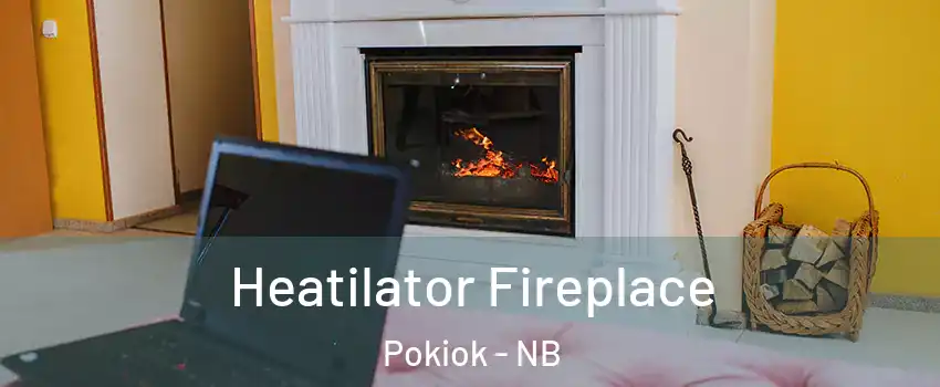  Heatilator Fireplace Pokiok - NB