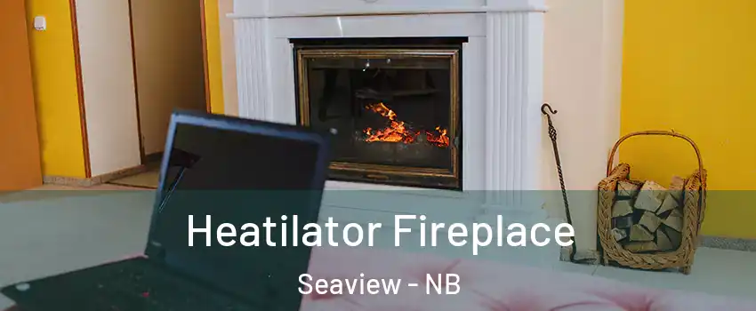  Heatilator Fireplace Seaview - NB