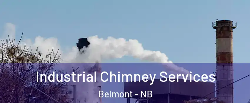  Industrial Chimney Services Belmont - NB