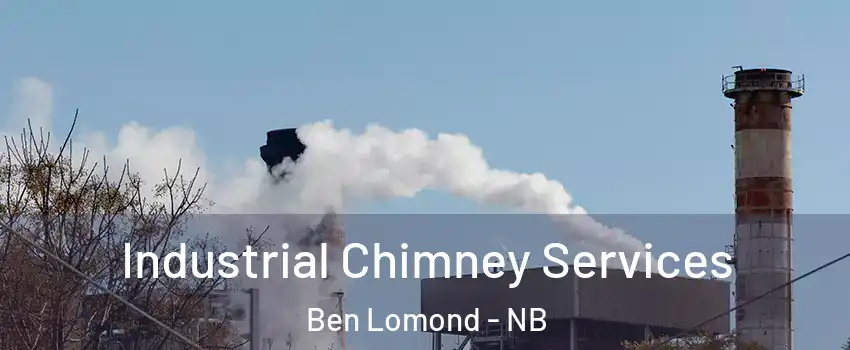  Industrial Chimney Services Ben Lomond - NB