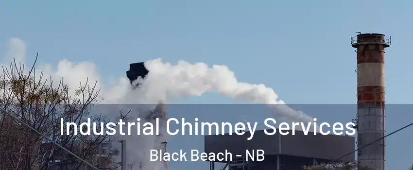  Industrial Chimney Services Black Beach - NB