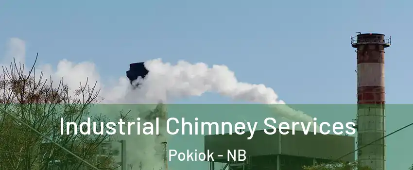  Industrial Chimney Services Pokiok - NB