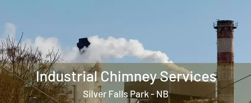  Industrial Chimney Services Silver Falls Park - NB