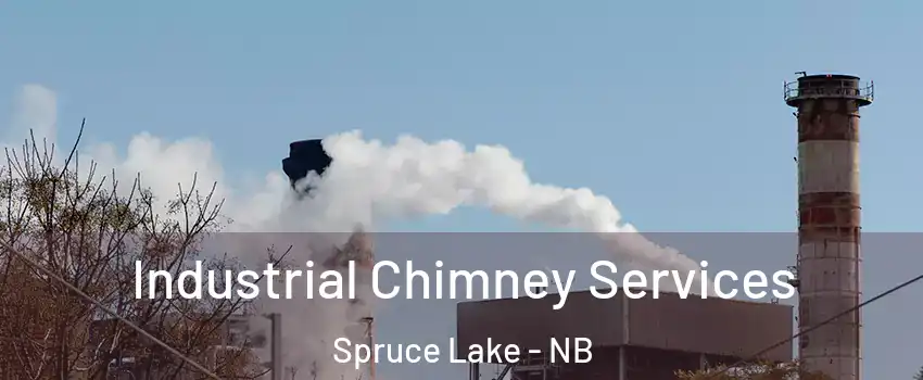  Industrial Chimney Services Spruce Lake - NB