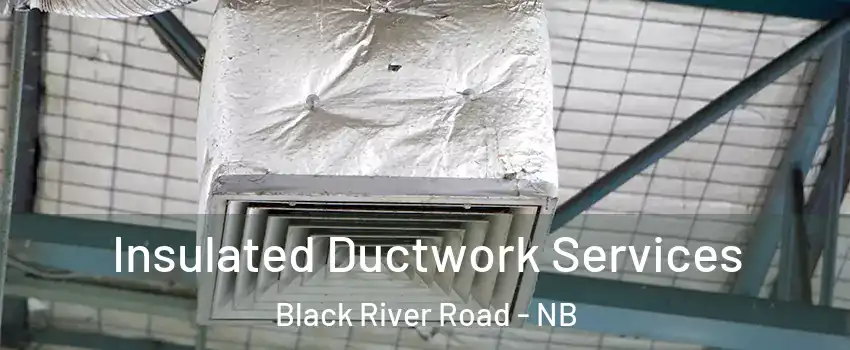  Insulated Ductwork Services Black River Road - NB