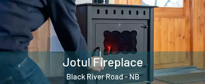  Jotul Fireplace Black River Road - NB