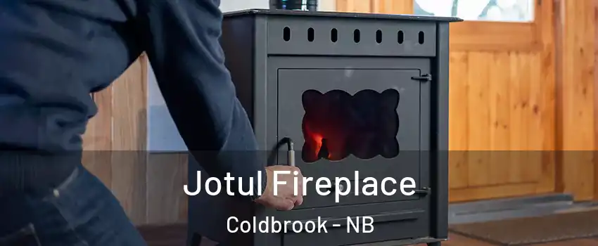  Jotul Fireplace Coldbrook - NB
