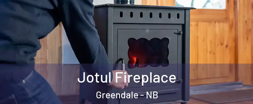  Jotul Fireplace Greendale - NB