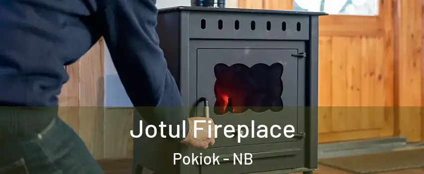  Jotul Fireplace Pokiok - NB