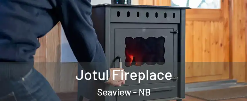  Jotul Fireplace Seaview - NB