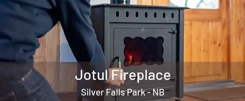  Jotul Fireplace Silver Falls Park - NB