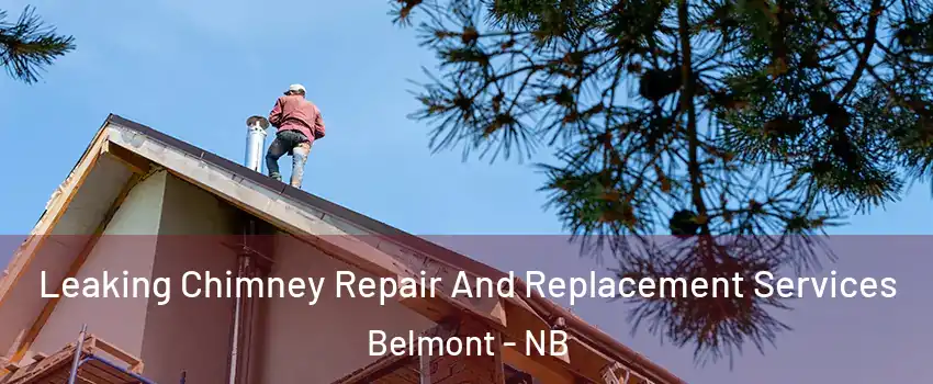  Leaking Chimney Repair And Replacement Services Belmont - NB