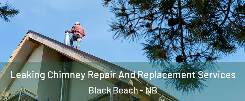  Leaking Chimney Repair And Replacement Services Black Beach - NB