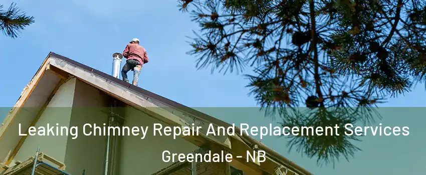  Leaking Chimney Repair And Replacement Services Greendale - NB