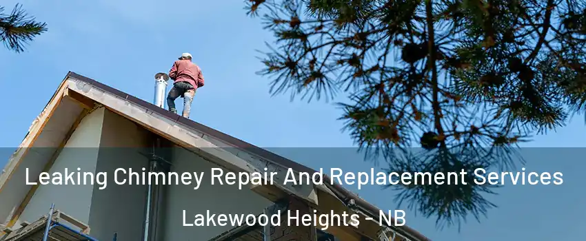  Leaking Chimney Repair And Replacement Services Lakewood Heights - NB