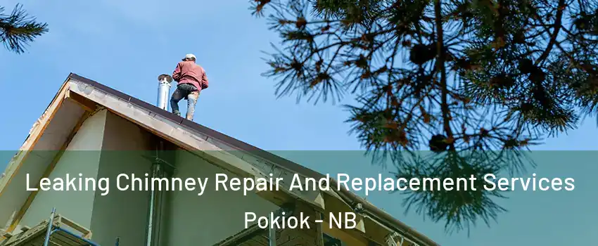  Leaking Chimney Repair And Replacement Services Pokiok - NB