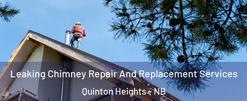  Leaking Chimney Repair And Replacement Services Quinton Heights - NB