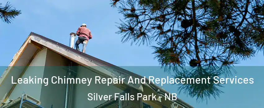  Leaking Chimney Repair And Replacement Services Silver Falls Park - NB