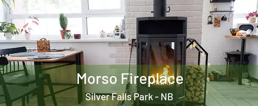  Morso Fireplace Silver Falls Park - NB
