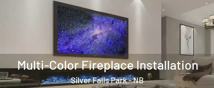  Multi-Color Fireplace Installation Silver Falls Park - NB
