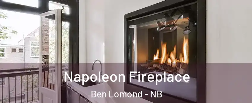  Napoleon Fireplace Ben Lomond - NB