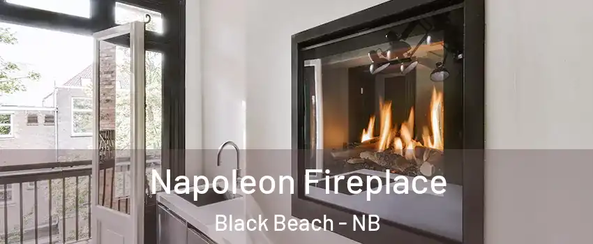  Napoleon Fireplace Black Beach - NB