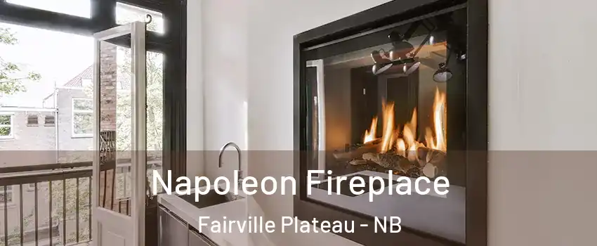  Napoleon Fireplace Fairville Plateau - NB