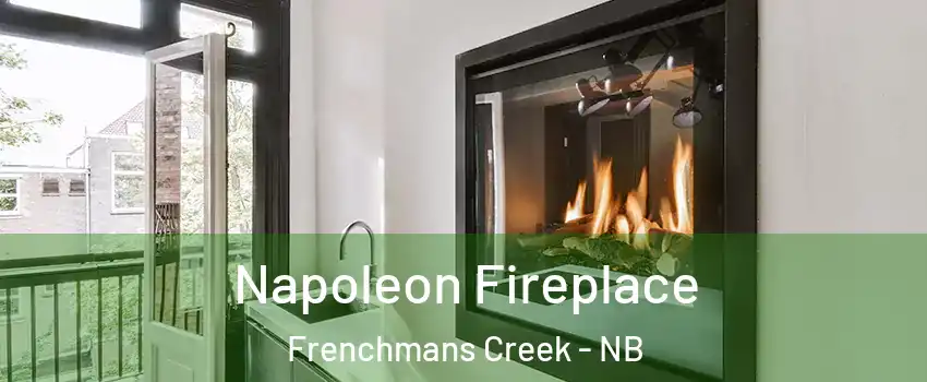  Napoleon Fireplace Frenchmans Creek - NB