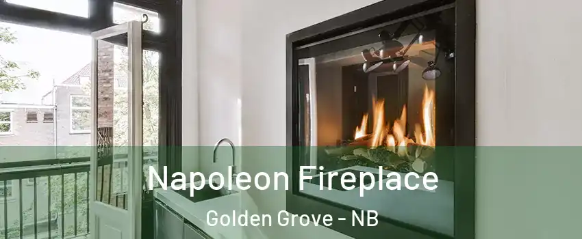  Napoleon Fireplace Golden Grove - NB