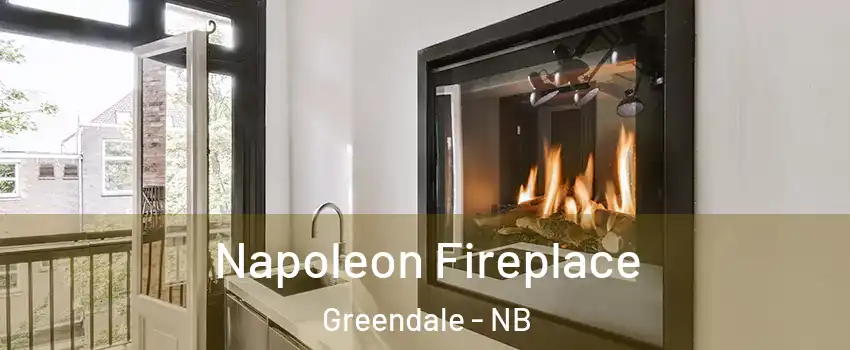  Napoleon Fireplace Greendale - NB