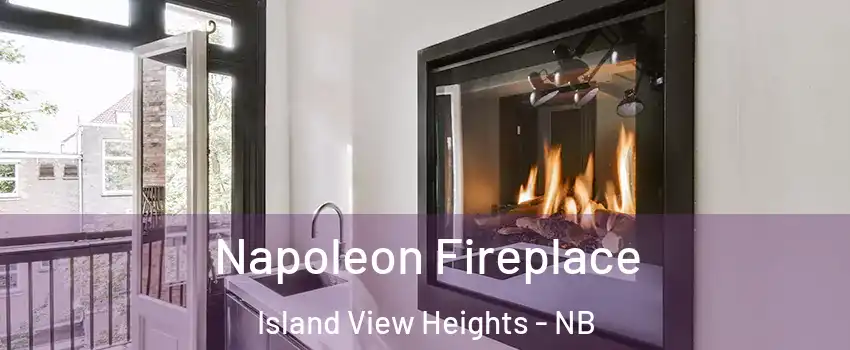  Napoleon Fireplace Island View Heights - NB