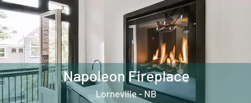  Napoleon Fireplace Lorneville - NB