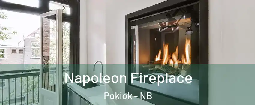  Napoleon Fireplace Pokiok - NB