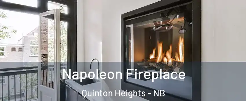  Napoleon Fireplace Quinton Heights - NB