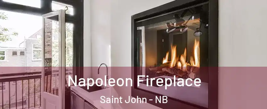  Napoleon Fireplace Saint John - NB