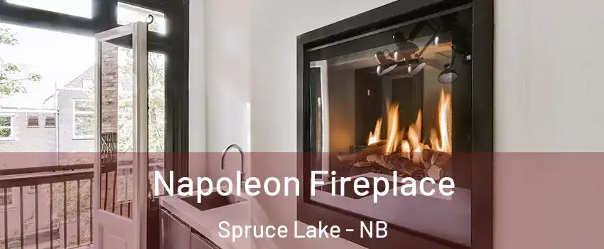  Napoleon Fireplace Spruce Lake - NB