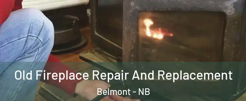  Old Fireplace Repair And Replacement Belmont - NB