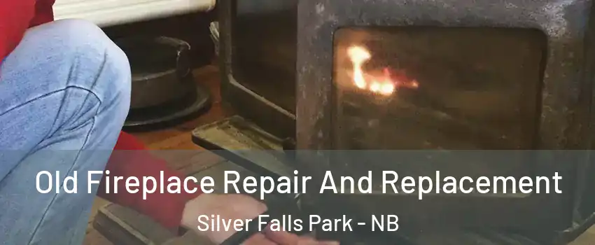  Old Fireplace Repair And Replacement Silver Falls Park - NB