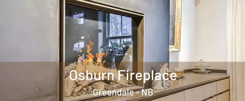  Osburn Fireplace Greendale - NB
