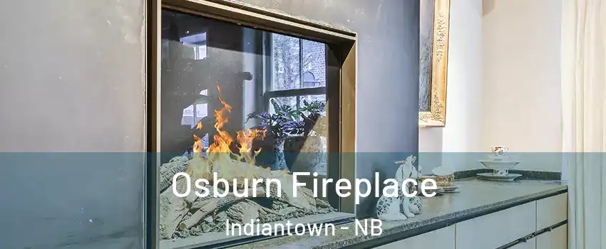  Osburn Fireplace Indiantown - NB