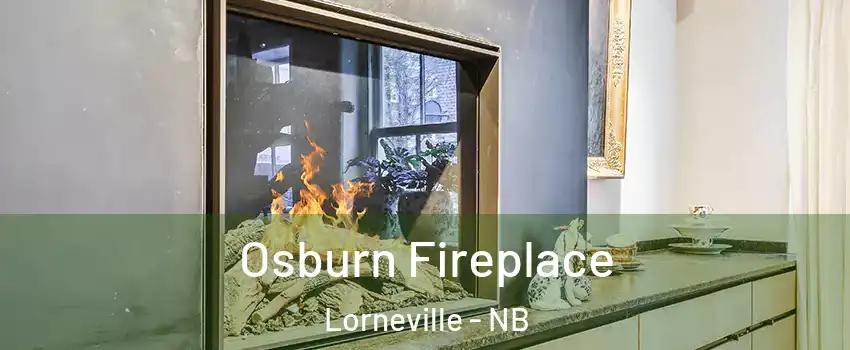  Osburn Fireplace Lorneville - NB