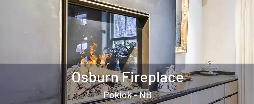  Osburn Fireplace Pokiok - NB