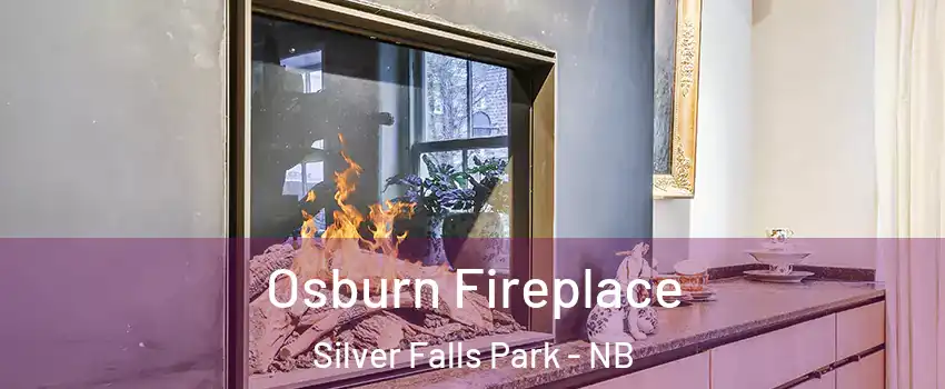  Osburn Fireplace Silver Falls Park - NB