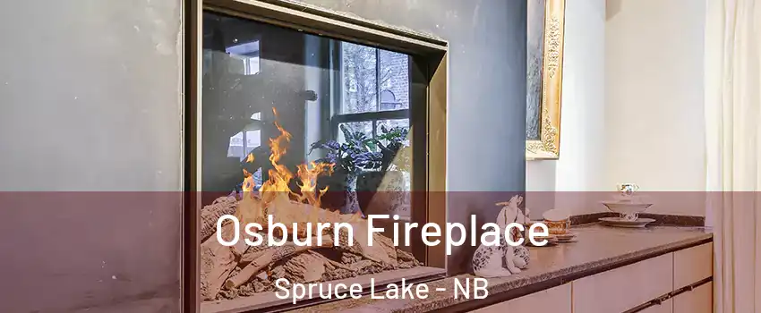  Osburn Fireplace Spruce Lake - NB
