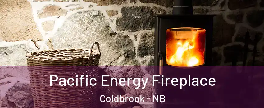  Pacific Energy Fireplace Coldbrook - NB