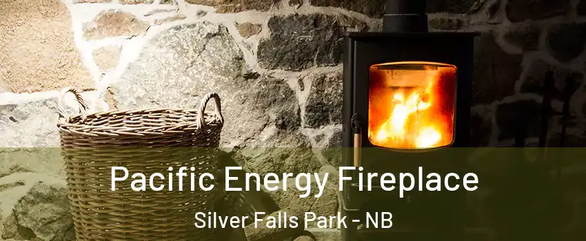  Pacific Energy Fireplace Silver Falls Park - NB