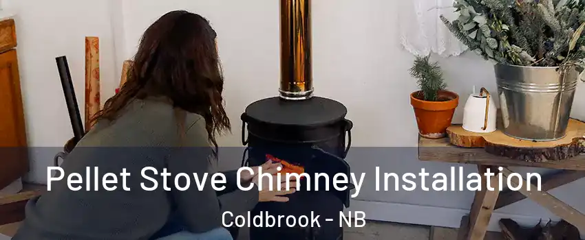  Pellet Stove Chimney Installation Coldbrook - NB